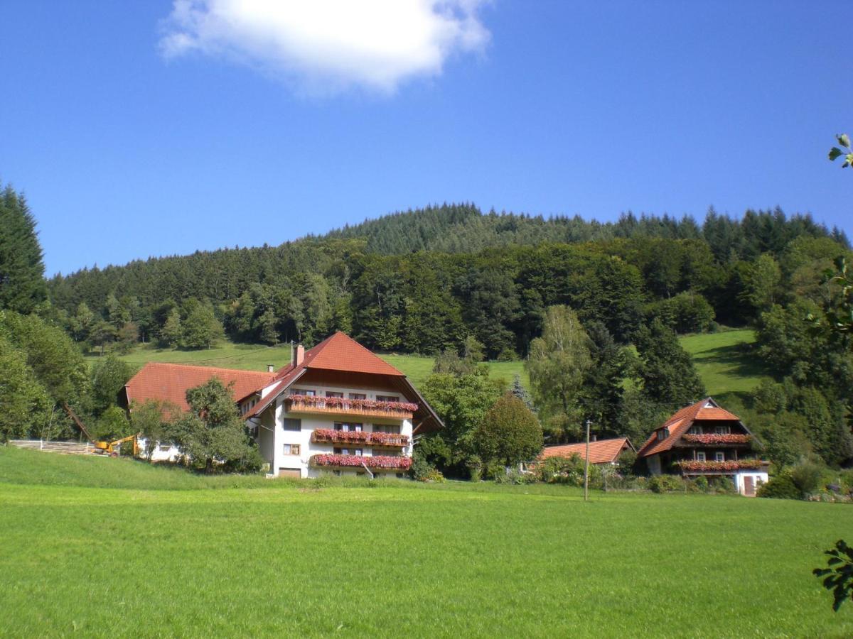 דירות Mühlenbach Geigerbauernhof מראה חיצוני תמונה