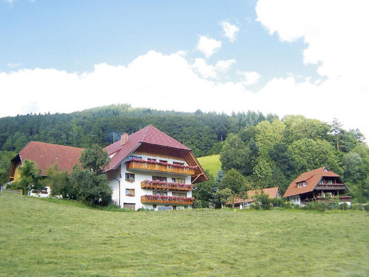 דירות Mühlenbach Geigerbauernhof מראה חיצוני תמונה